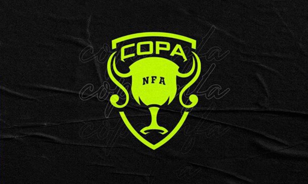 Relembre Todos Os Campe Es Da Copa Nfa Tropa Free Fire